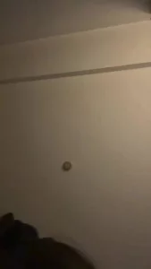 后入泉州骚鸡，给200随便艹（欢迎女粉私信）